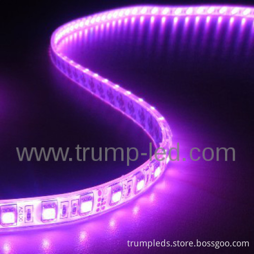 waterproof Flex Led Strip Smd 5050